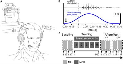 Repetitive Exposure to Orofacial Somatosensory Inputs in Speech Perceptual Training Modulates Vowel Categorization in Speech Perception